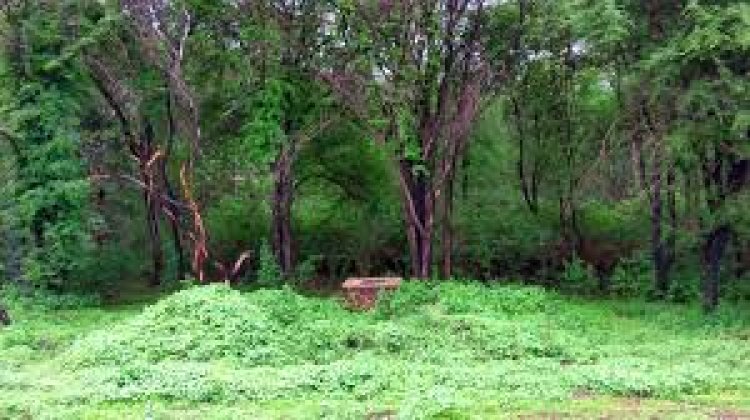 Security forces score big success in Narayanpur’s Abujhmad: Two most-wanted Naxals neutralised